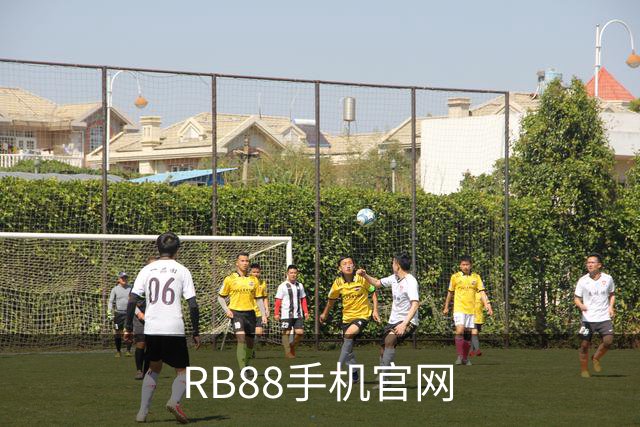 RB88手机官网公司介绍图片
